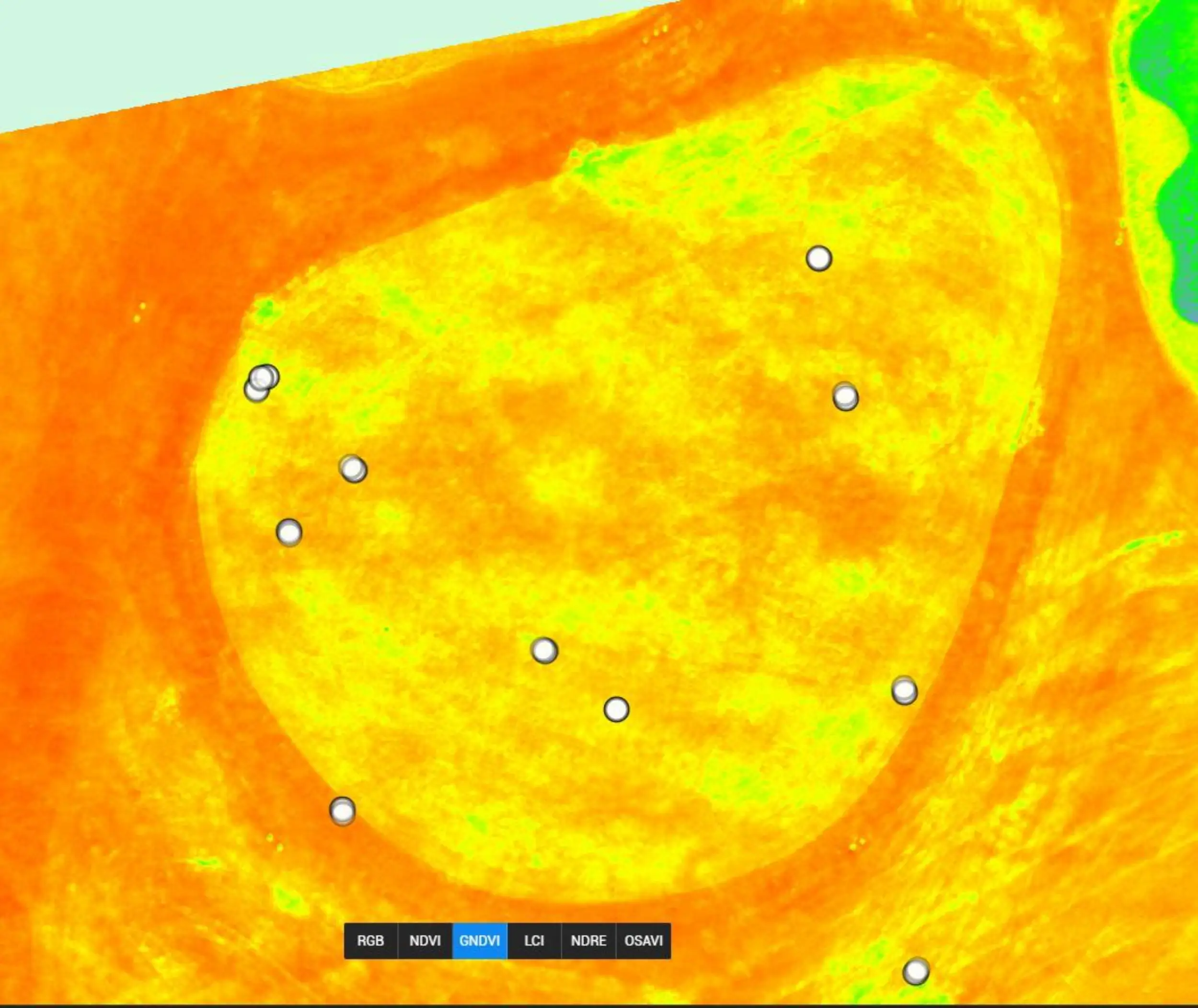 Landscape Construction